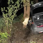 Infortunistica stradale: a chi chiedere i danni in caso di incidente